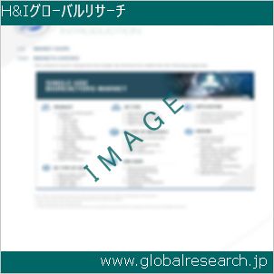 グローバルリサーチ調査レポートのイメージ